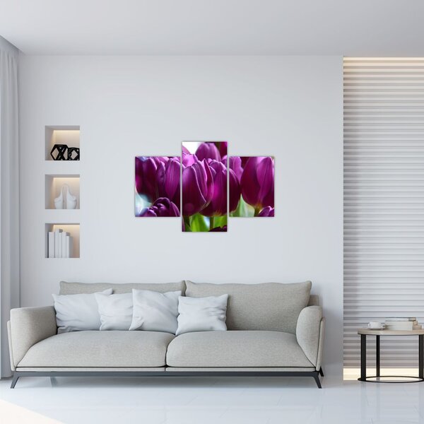 Tulipán képe (90x60 cm)