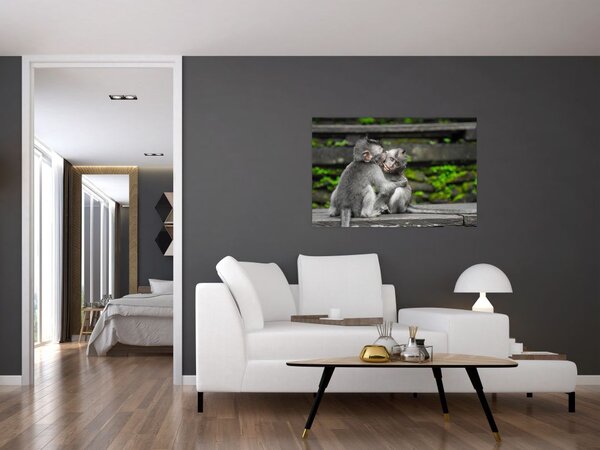 Kép - majmok (90x60 cm)