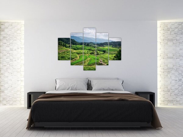 Rizsmező képe (150x105 cm)