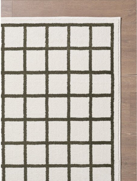 Sötétzöld-krémszínű szőnyeg 120x170 cm Picnic – ESTE