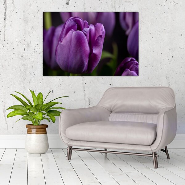 Tulipán vírág képe (90x60 cm)