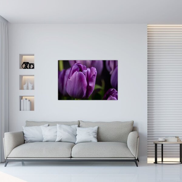 Tulipán vírág képe (90x60 cm)