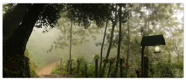 Reggeli köd képe (120x50 cm)