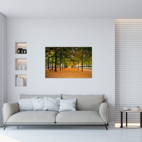Egy kép az őszi fák sikátorából (90x60 cm)