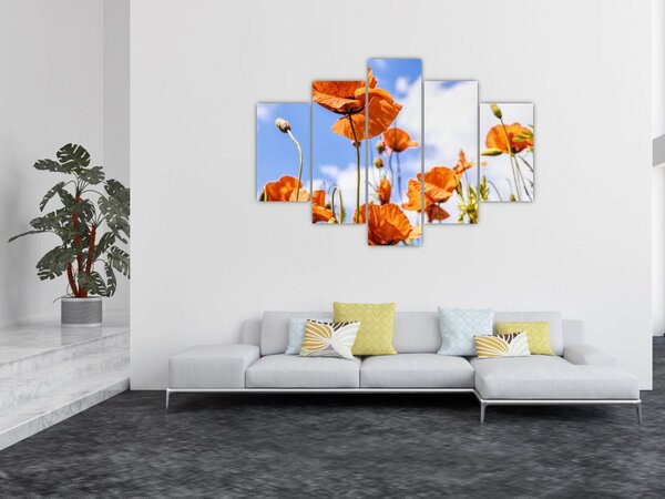 Pipacsok képe (150x105 cm)