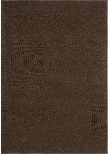 Barna szőnyeg 120x170 cm Zephyr – ESTE