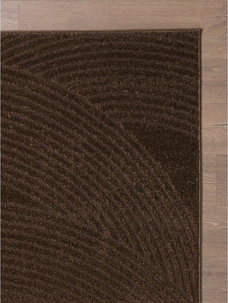 Barna szőnyeg 120x170 cm Zephyr – ESTE