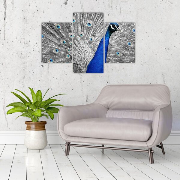Kék páva képe (90x60 cm)