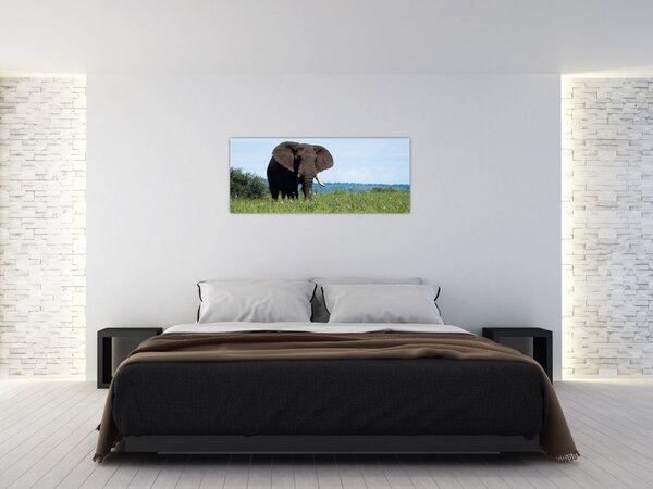 Egy elefánt képe (120x50 cm)
