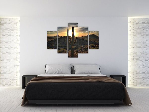 Kép - kaktuszok a napon (150x105 cm)