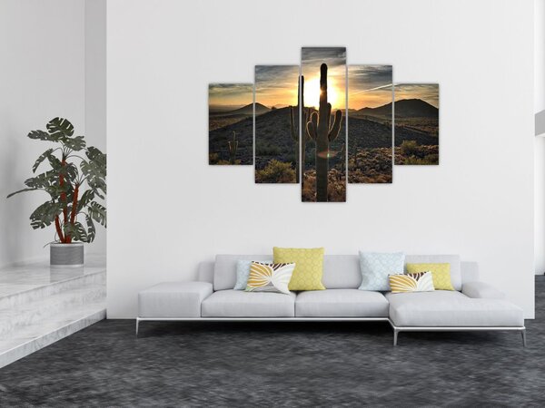 Kép - kaktuszok a napon (150x105 cm)