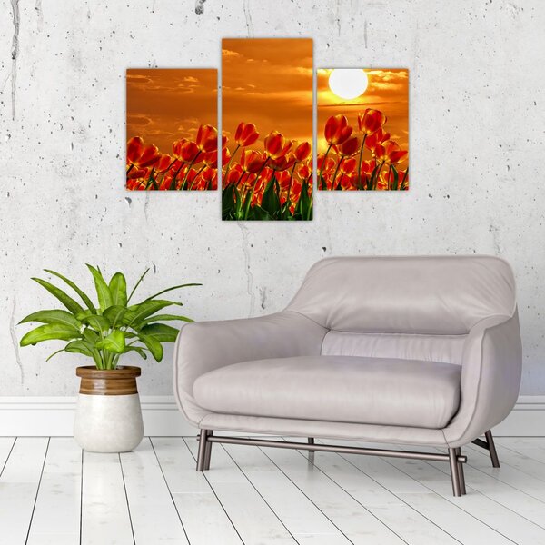 Kép egy virágzó mező tulipánokkal (90x60 cm)