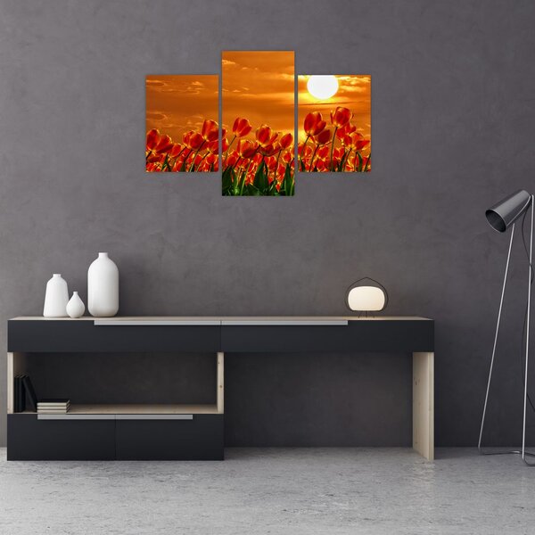 Kép egy virágzó mező tulipánokkal (90x60 cm)