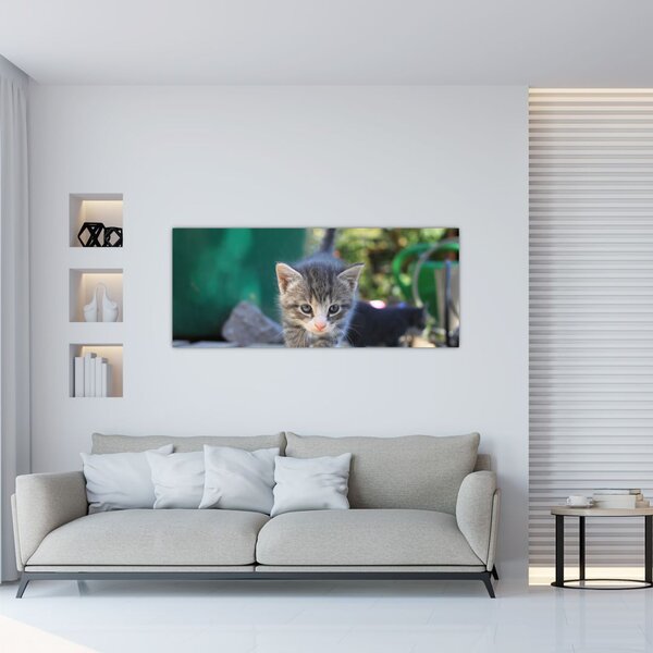 Cica képe (120x50 cm)