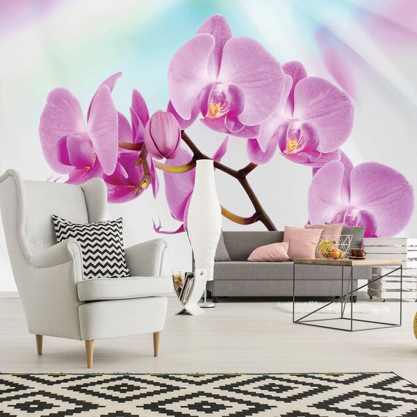 Fotótapéta - Orchidea (152,5x104 cm)