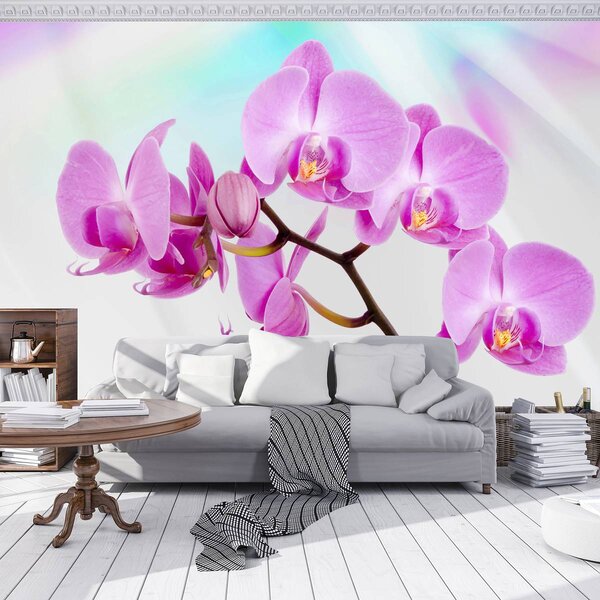 Fotótapéta - Orchidea (152,5x104 cm)