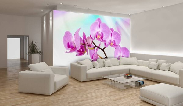 Fotótapéta - Orchidea (152,5x104 cm)
