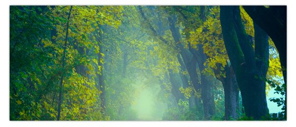 Fákkal szegélyezett út képe (120x50 cm)