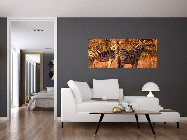 Zebrák képe (120x50 cm)