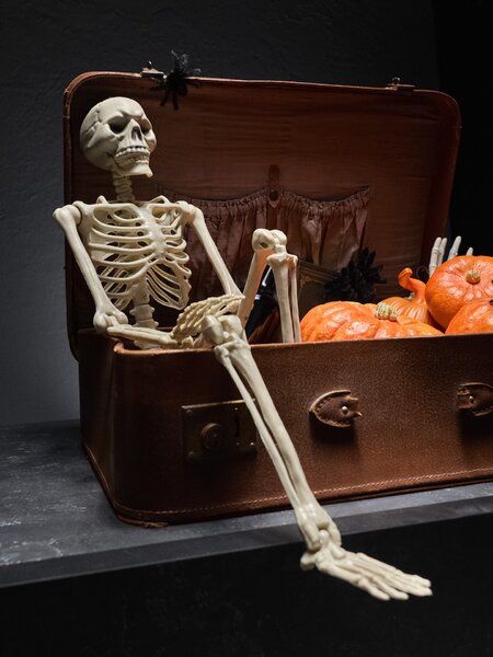 Sinsay - Halloween függő dekoráció csontváz formában - fehér