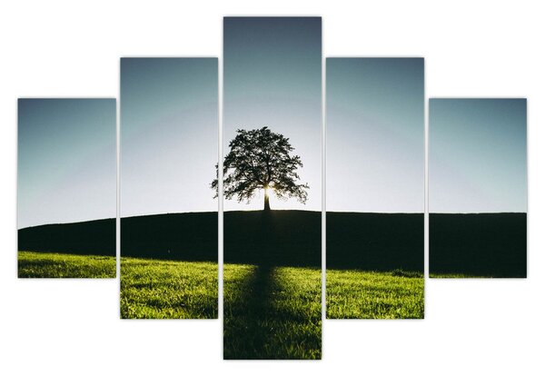 Természet kép - fa (150x105 cm)