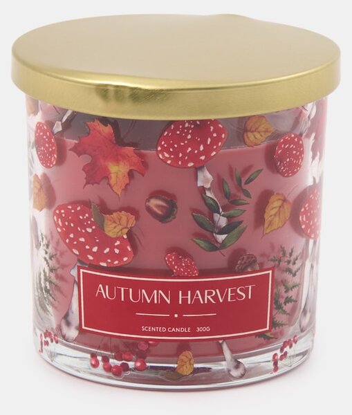 Sinsay - Illatos gyertya Autumn Harvest - mályva