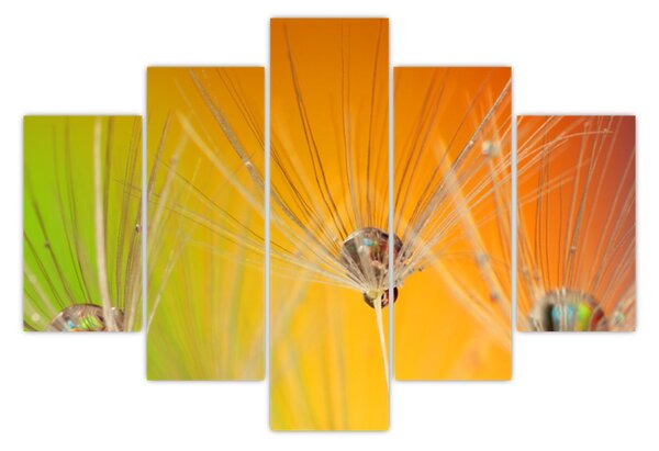 Cseppek a növényen képe (150x105 cm)