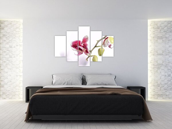 Orchidea virág képe (150x105 cm)