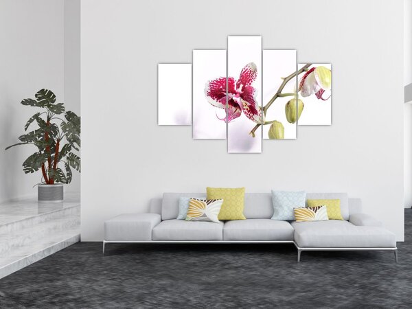 Orchidea virág képe (150x105 cm)