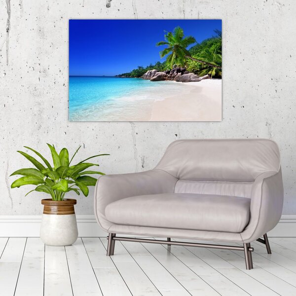 Kép a strandról a Praslin szigeten (90x60 cm)