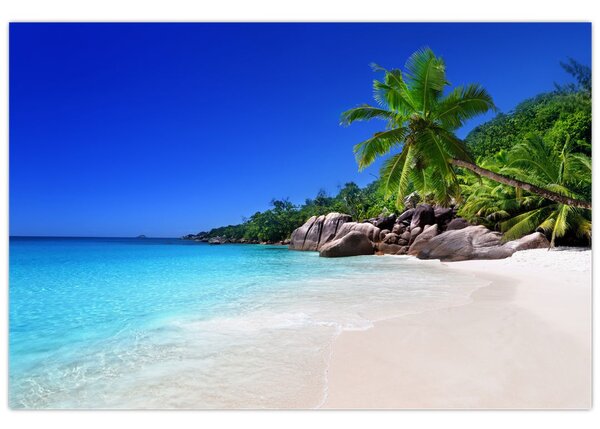 Kép a strandról a Praslin szigeten (90x60 cm)