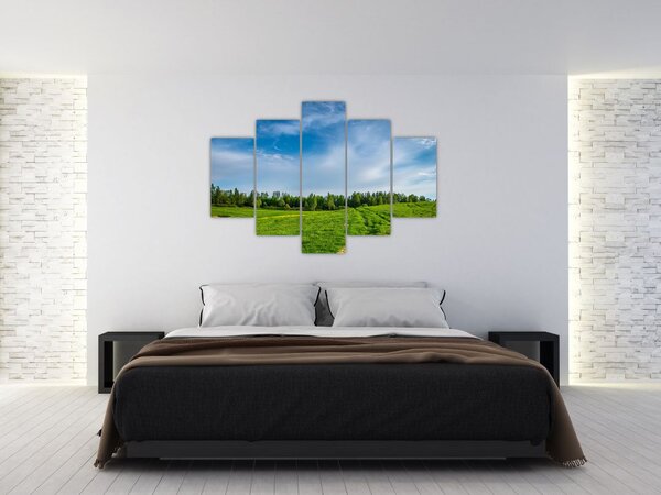 Rét képe (150x105 cm)