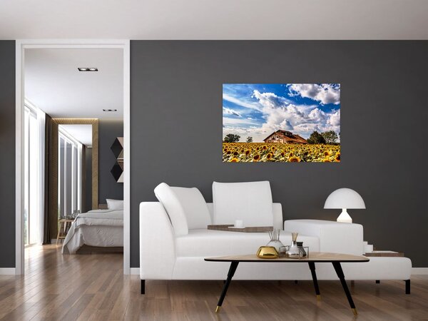 Napraforgó mező képe (90x60 cm)