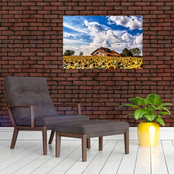 Napraforgó mező képe (90x60 cm)