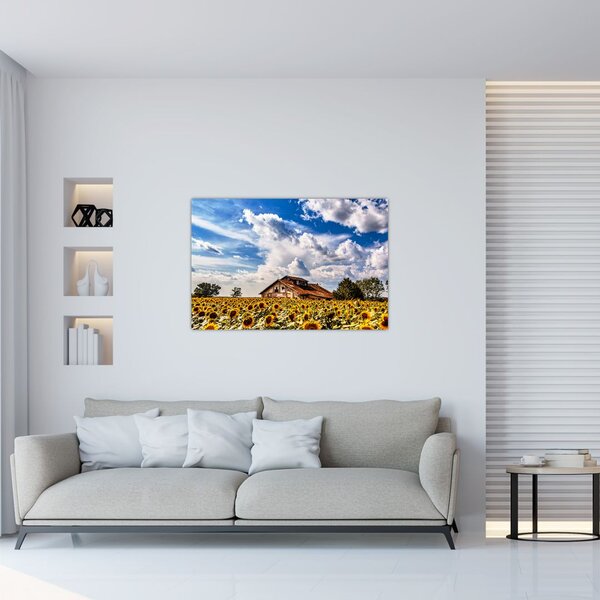 Napraforgó mező képe (90x60 cm)