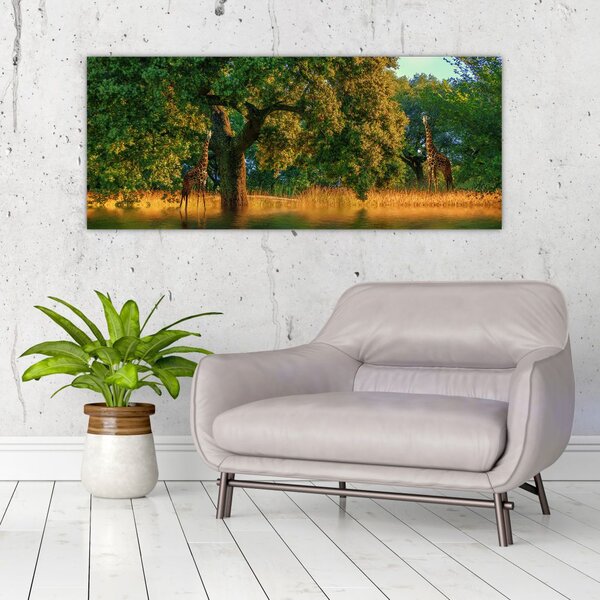 Zsiráf a természetben képe (120x50 cm)