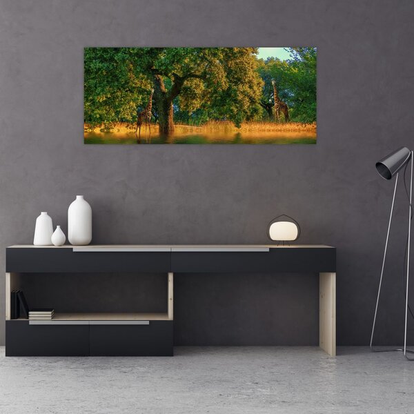 Zsiráf a természetben képe (120x50 cm)