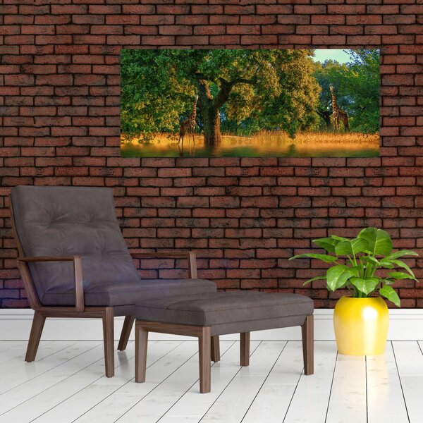 Zsiráf a természetben képe (120x50 cm)