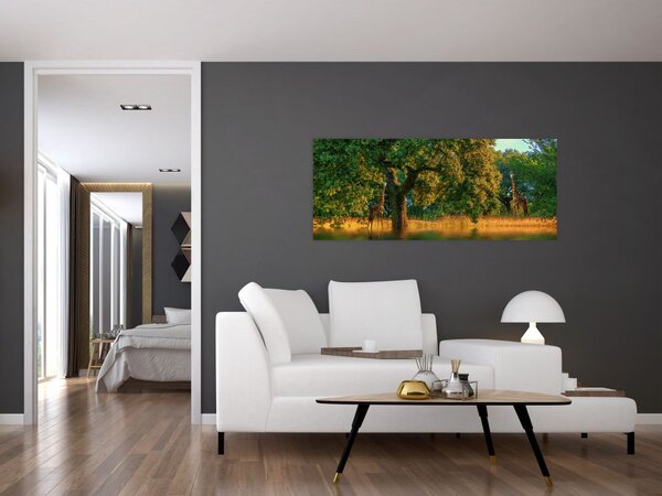 Zsiráf a természetben képe (120x50 cm)
