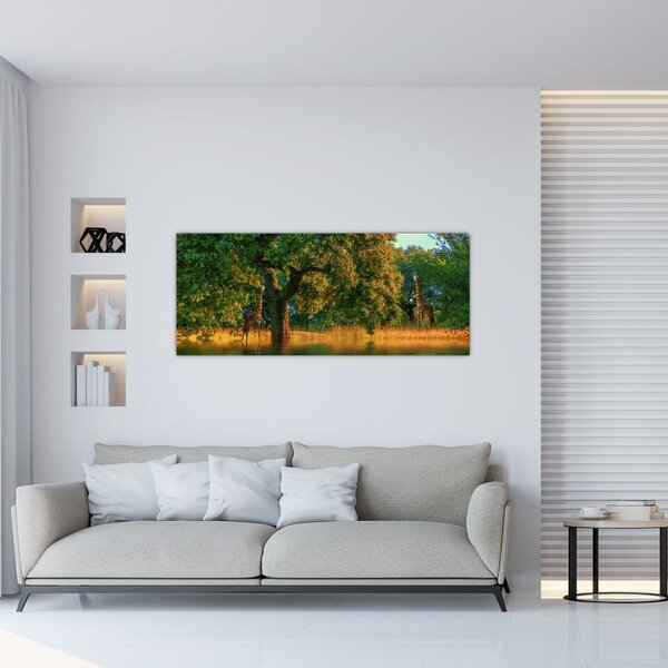 Zsiráf a természetben képe (120x50 cm)