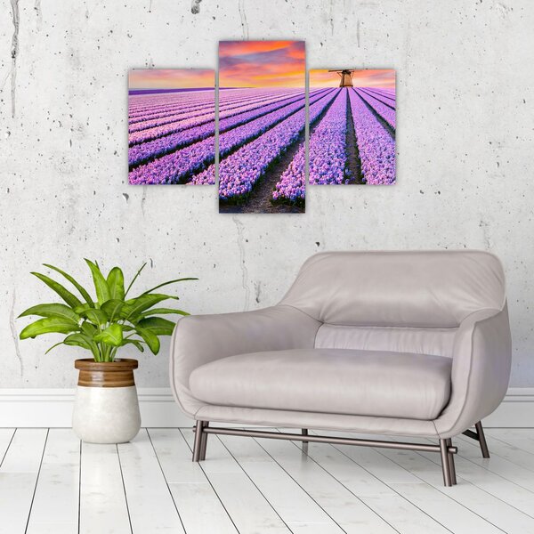 Kép - virágfarm (90x60 cm)