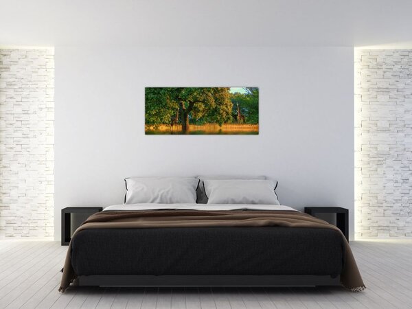 Zsiráf a természetben képe (120x50 cm)