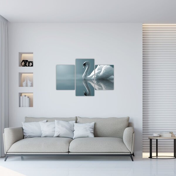 Kép - Fehér hattyú (90x60 cm)