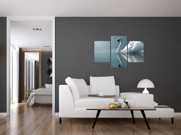 Kép - Fehér hattyú (90x60 cm)
