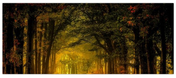 Erdő képe (120x50 cm)