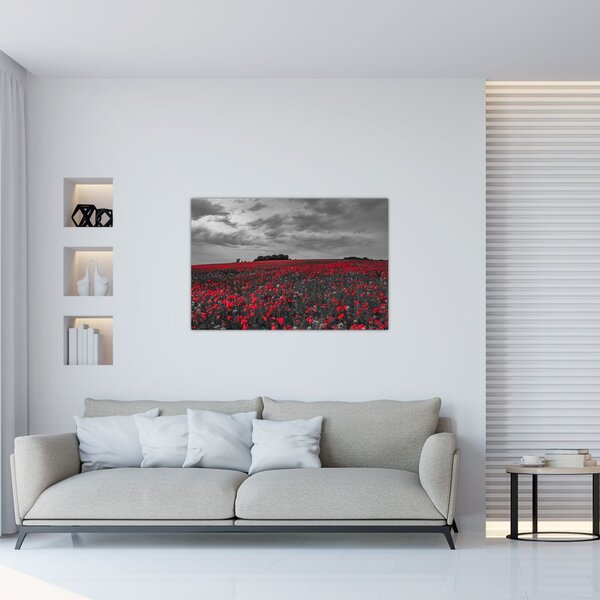 Pipacsos kép (90x60 cm)
