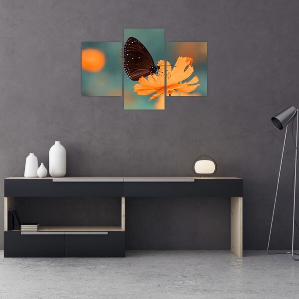 Kép - pillangó narancssárga virágon (90x60 cm)
