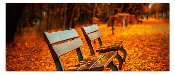 Padok ősszel képe (120x50 cm)