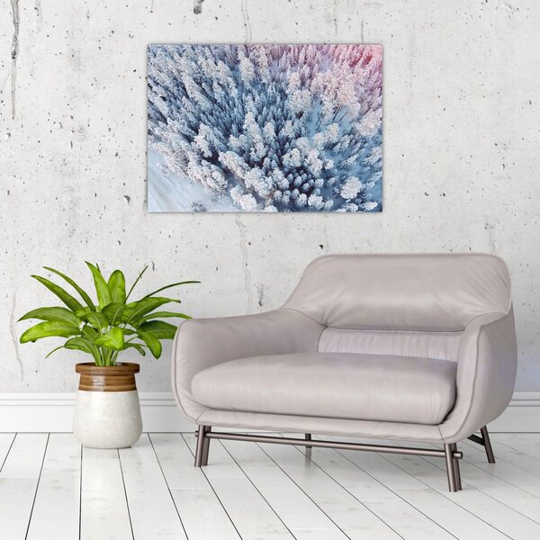 Havas fák képe (70x50 cm)