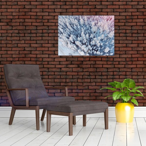 Havas fák képe (70x50 cm)